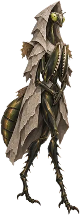 Tenodra