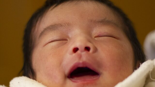 木梨憲武に孫が生まれたのは本当 憲さんと安田成美の子供に迫る ２４時間幸せ気分